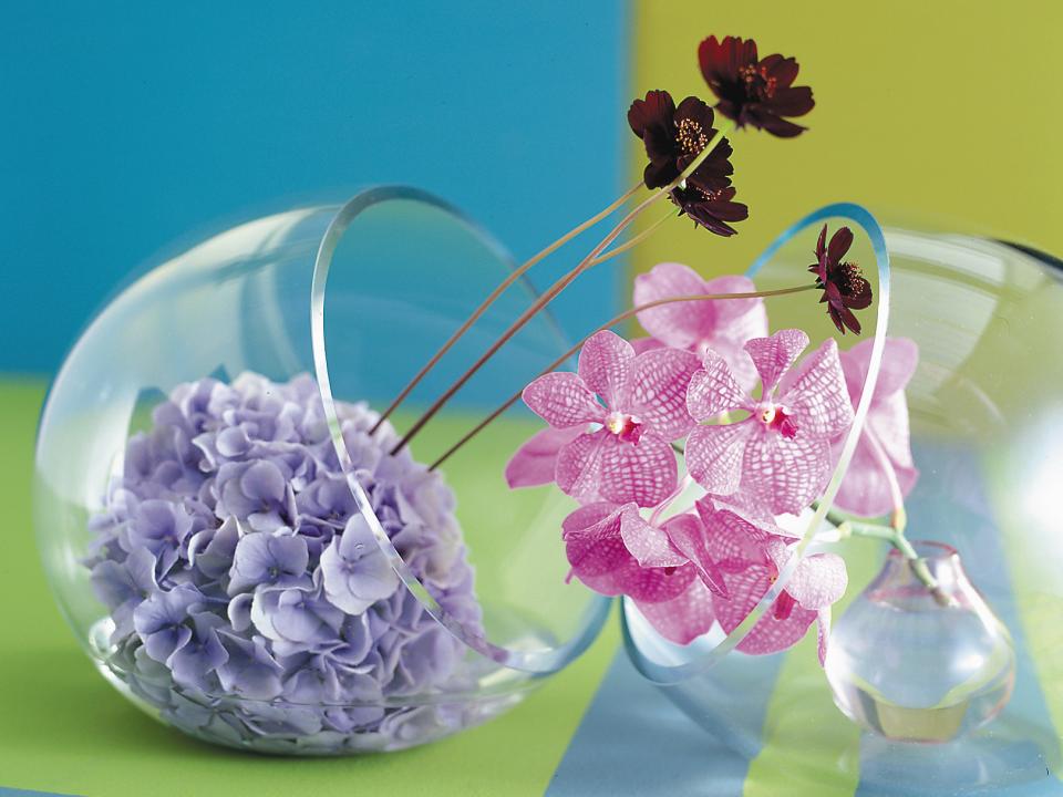 Creative Hydrangea flower displays on funnyhowflowersdothat.co.uk