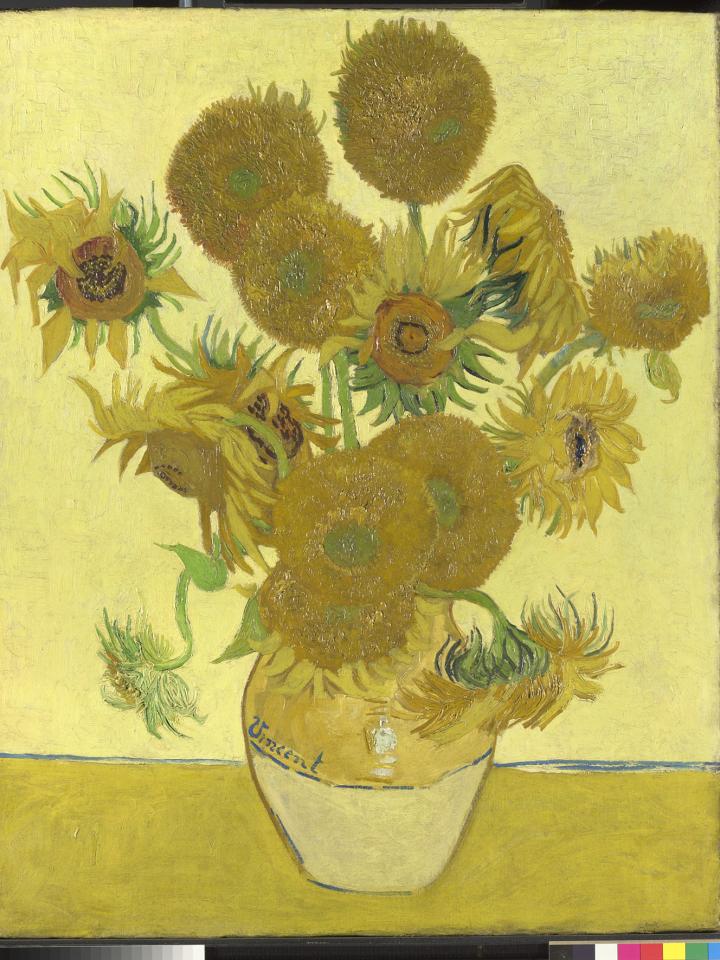 Vincent van Gogh, Sunflowers 1888 NG3863