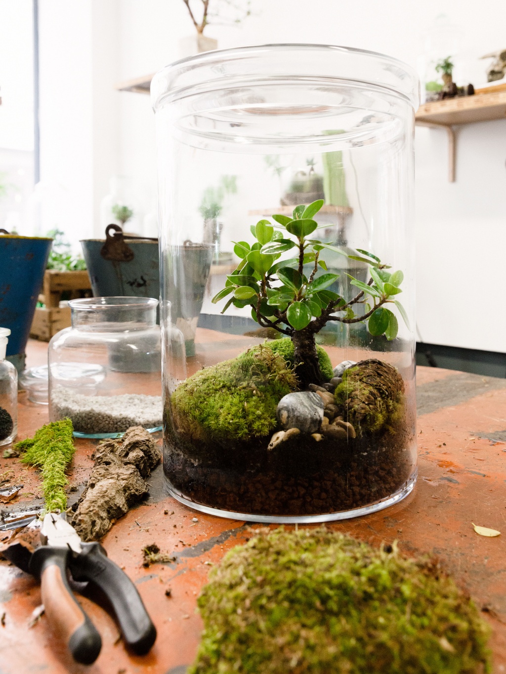 Make your home greener with terrariums Funny how flowers