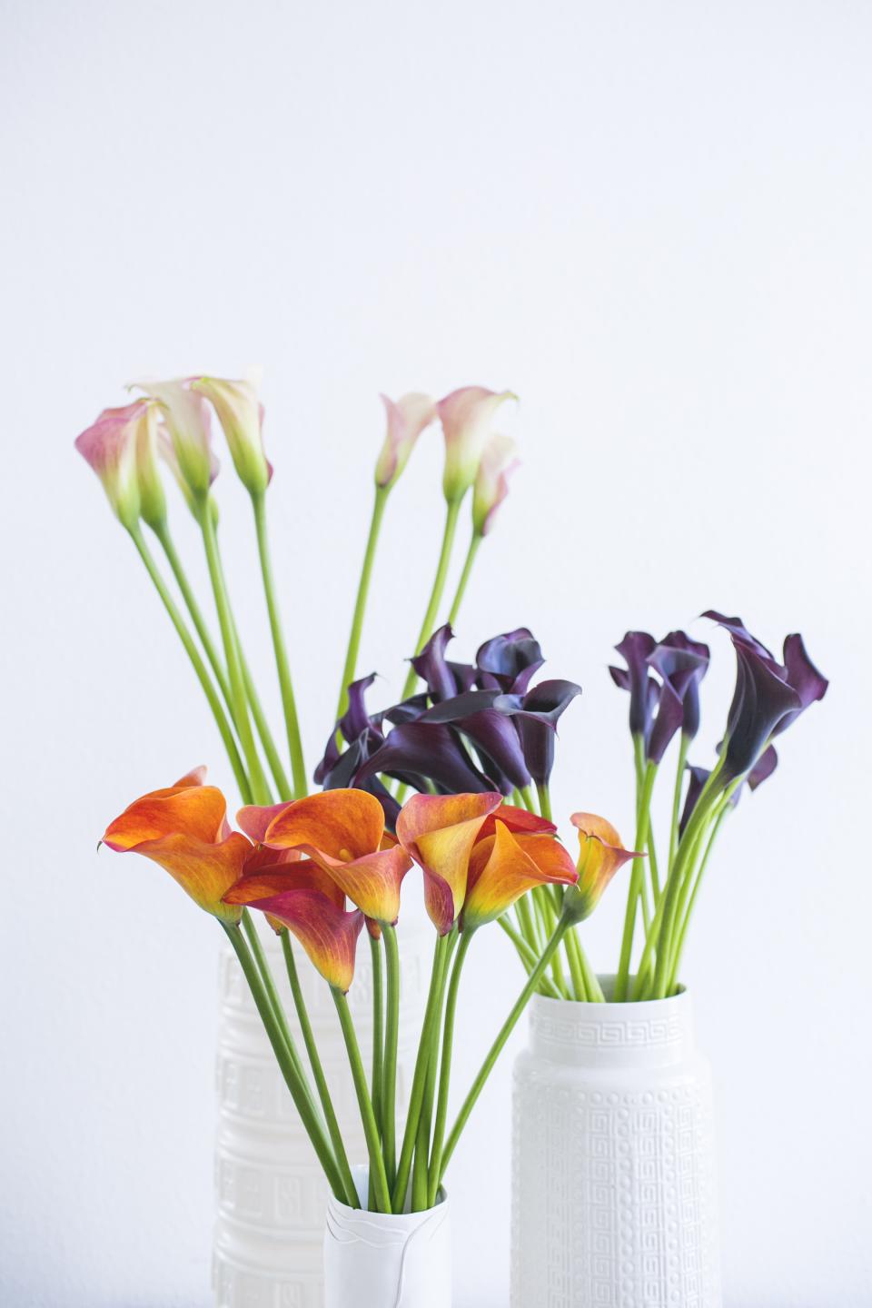 calla | kelkbloem | vaderdag bloemen | symboliek calla
