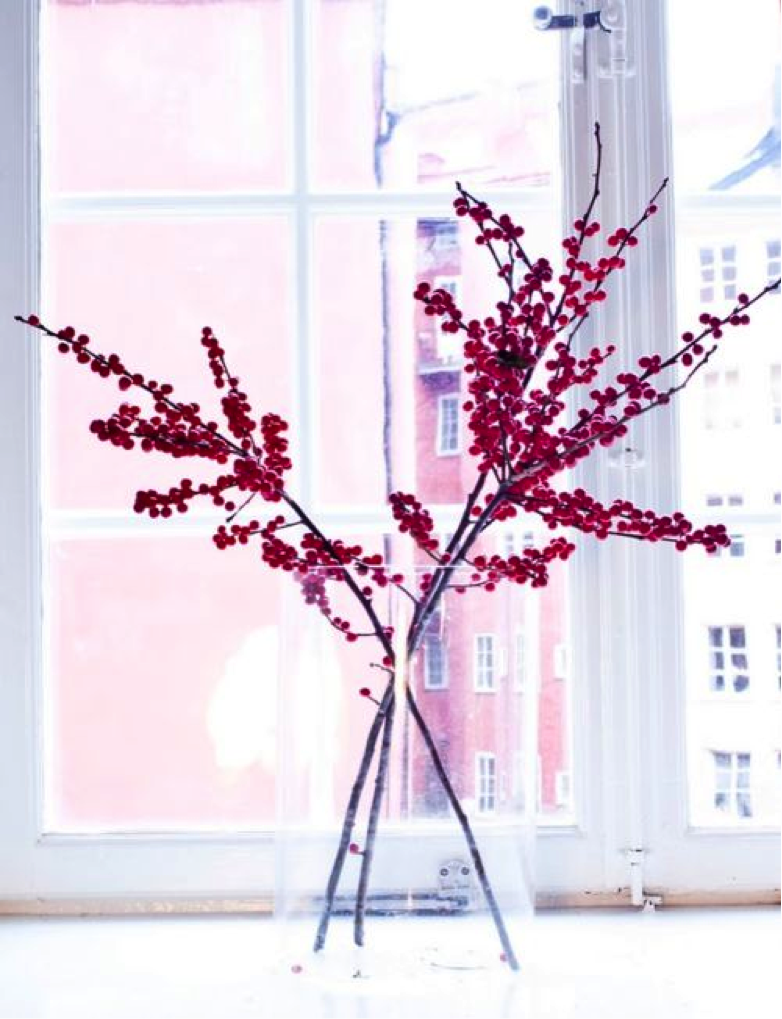Ilex Kerst Mooiwatbloemendoen Ilex Kerst Mooiwatbloemendoen