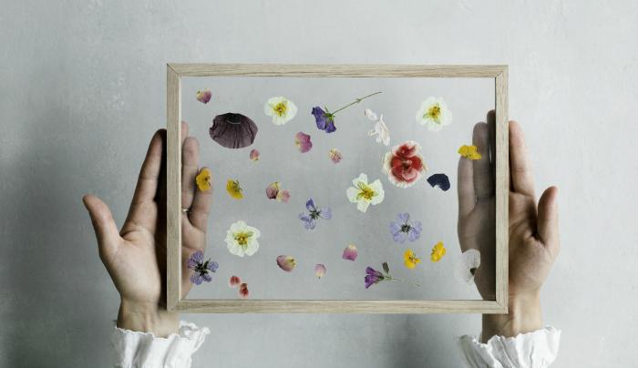 pressed flowers