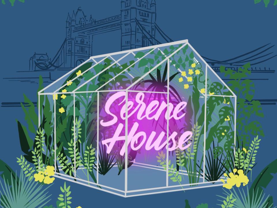 The Serene House