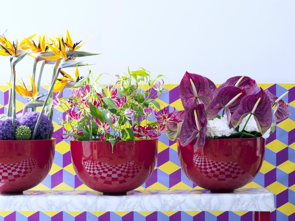 Gloriosa, Anthurium and Strelitzia Funnyhowflowersdothat.co.uk