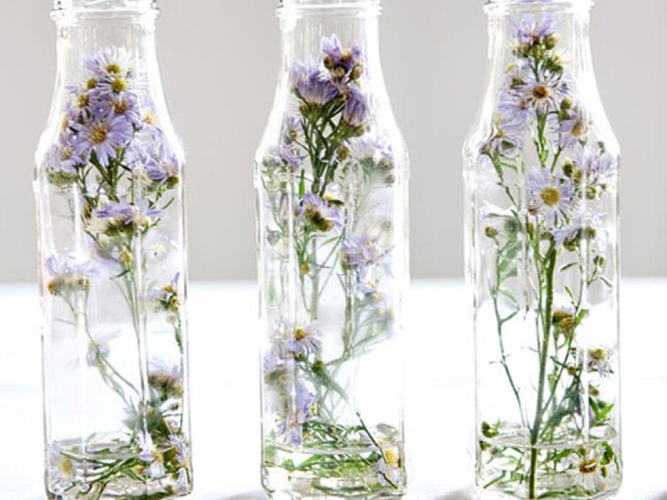 flowersinbottles flowersinbottles