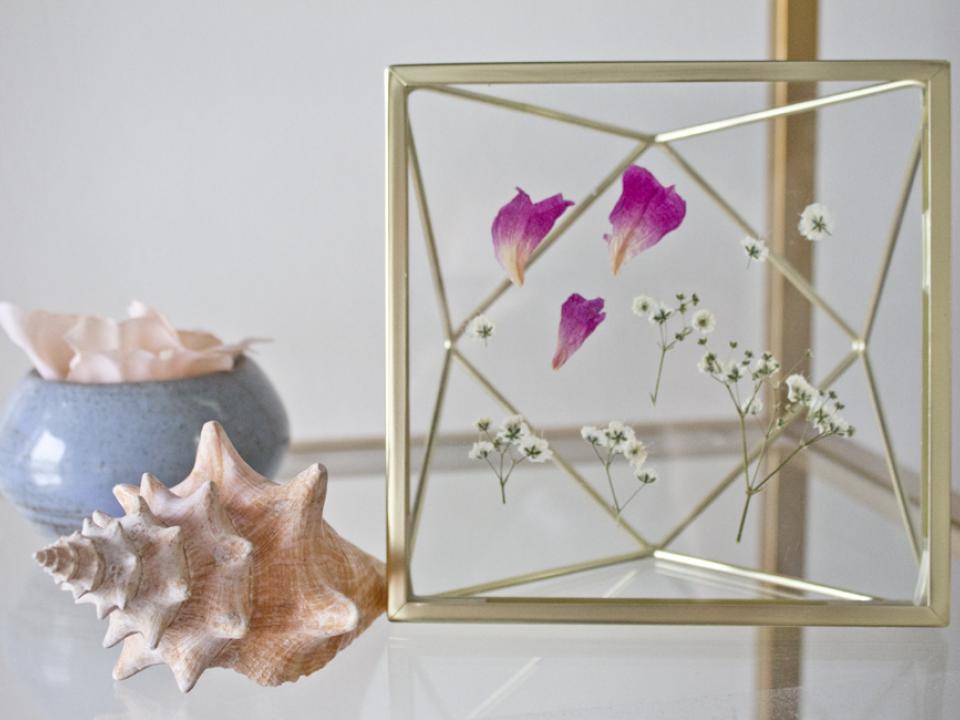 framed_pressed_flowers framed_pressed_flowers