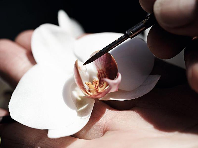 L&#039;orchidée protagoniste de la gamme Orchidée Impériale de Guerlain.