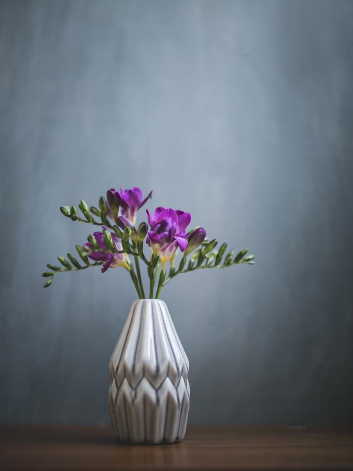 freesia in vaas | paarse freesia 