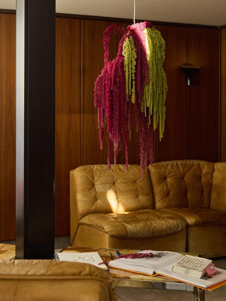 amaranthus valentina teinitzer | floral signatures