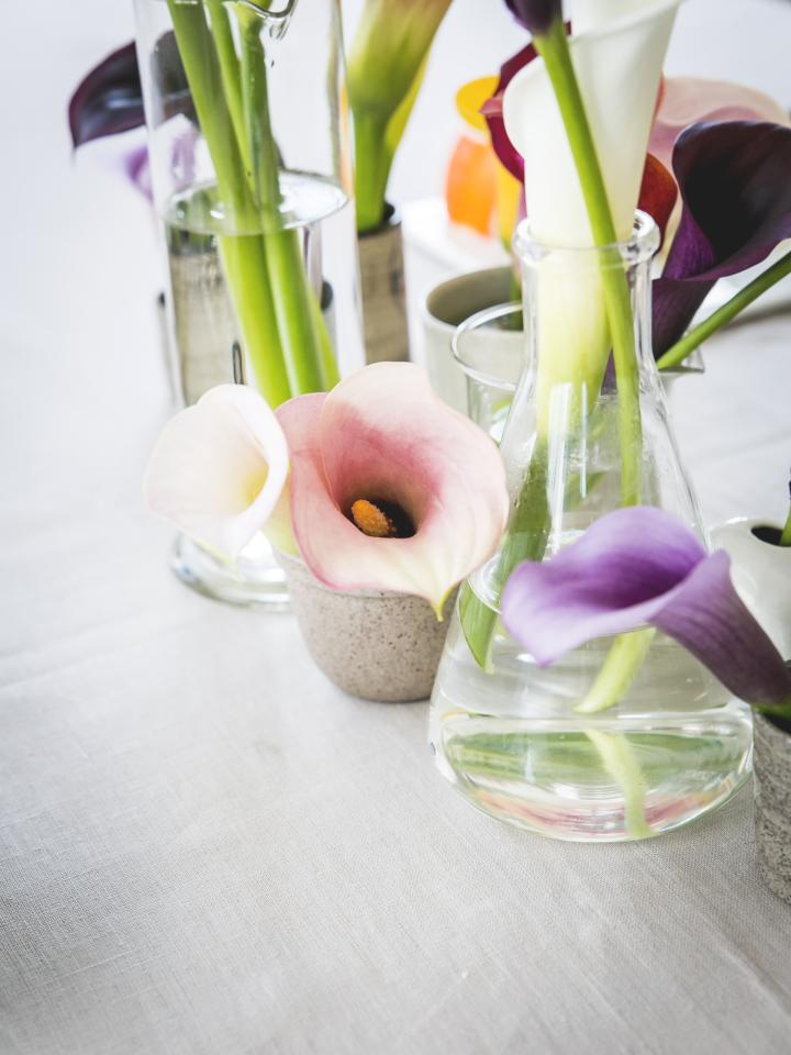 Tafeldekken met Calla Tafeldekken met Calla Mooiwatplantendoen.nl