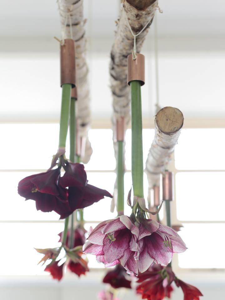 Creëer de perfecte kersttafel Amaryllis