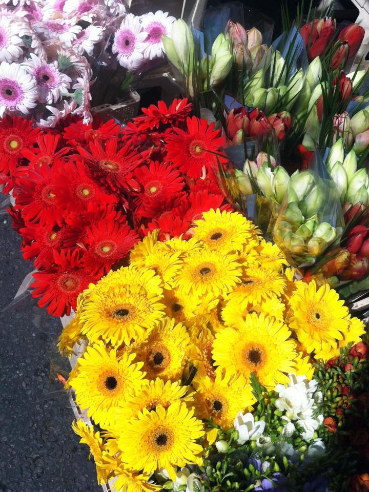 Bright gerberas