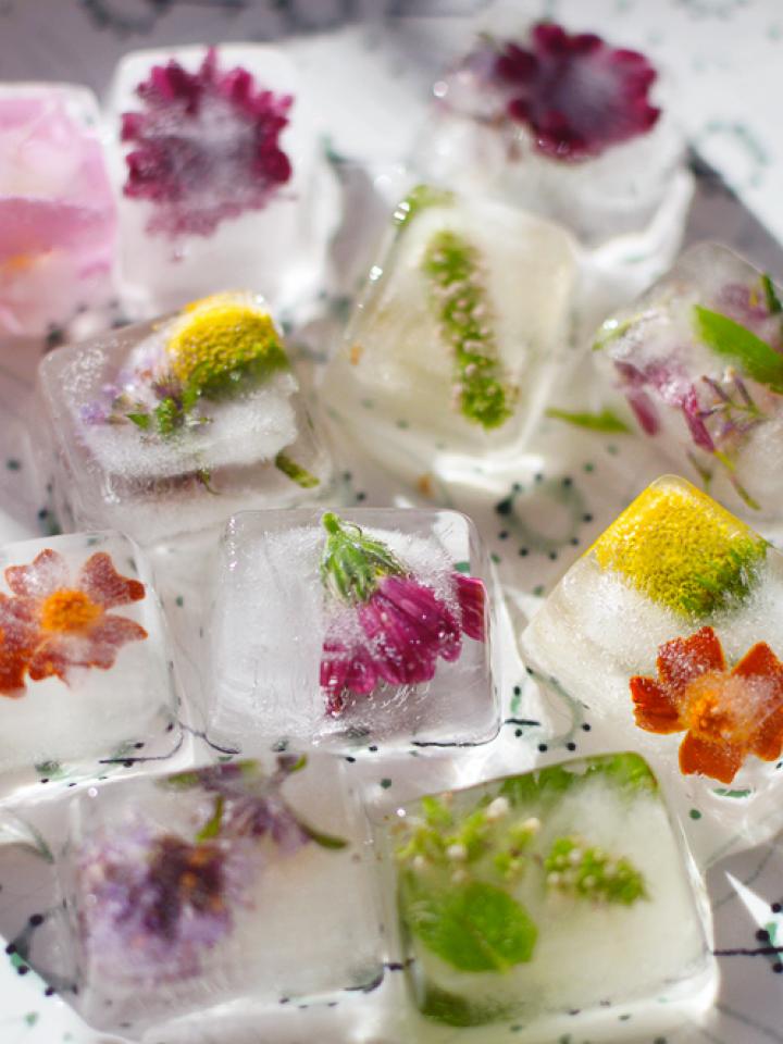 Edible Flower Ice Cubes • Beautiful Ingredient