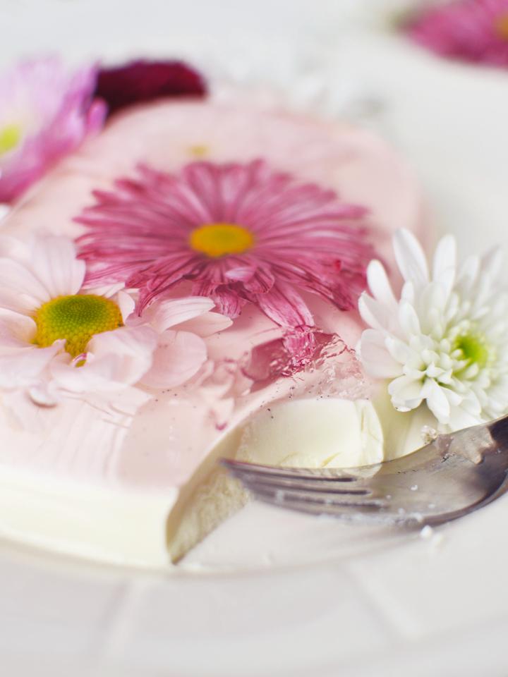 Flower Panna Cotta 