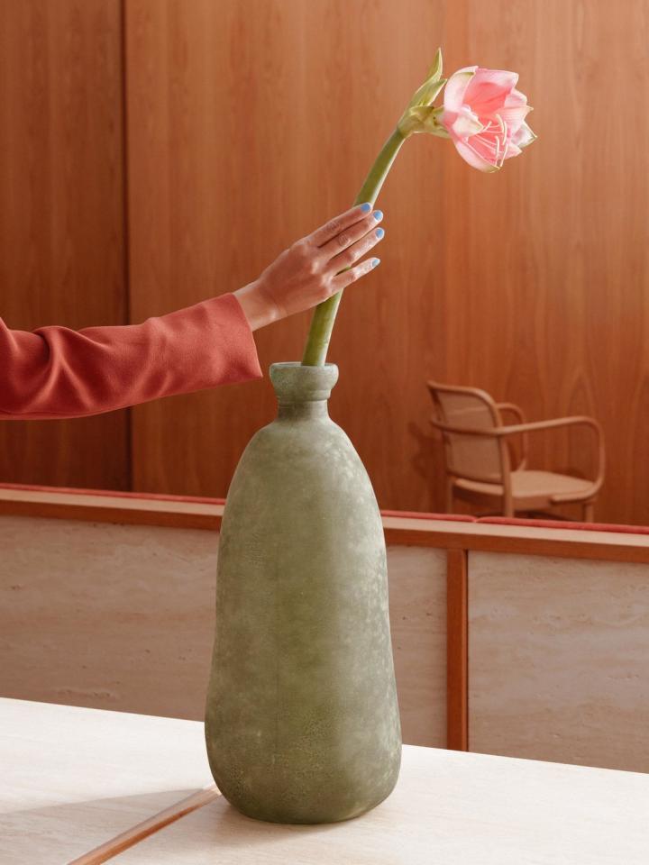 amaryllis in a vase | funnyhowflowersdothat.co.uk