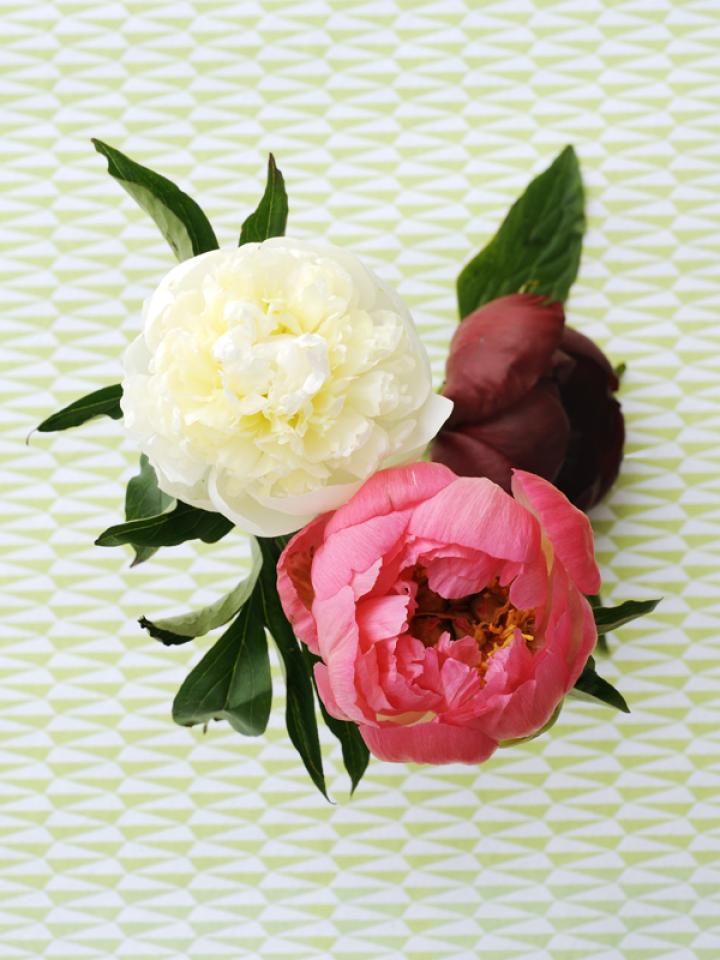 You can make peony syrup from the peony