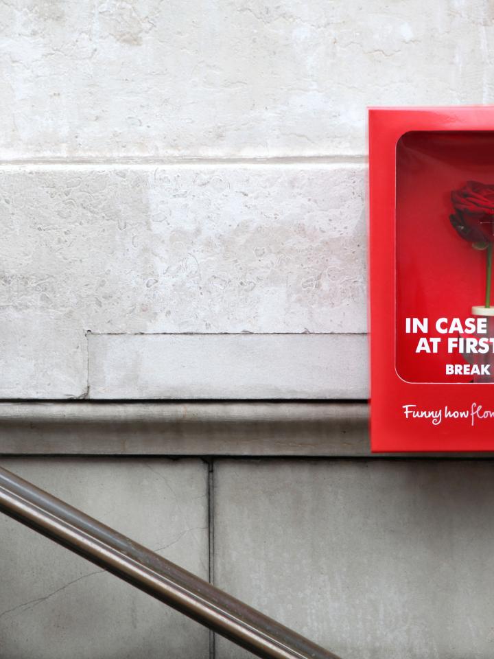 In case of love at first sight, break glass | Funny How Flowers Do That In case of love at first sight, break glass | Funny How Flowers Do That