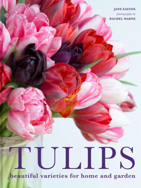 Everyone Loves Tulips - Article onThursd