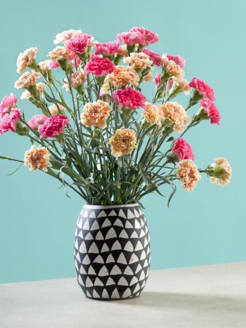 Five flirty flowers Valentine Funnyhowflowersdothat.co.uk Five flirty flowers Valentine Funnyhowflowersdothat.co.uk