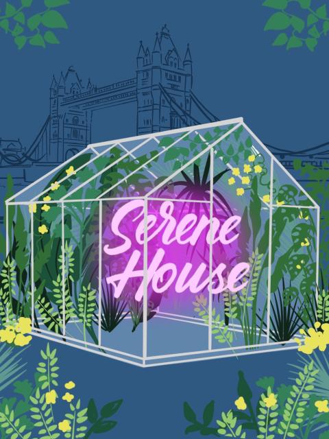 The Serene House