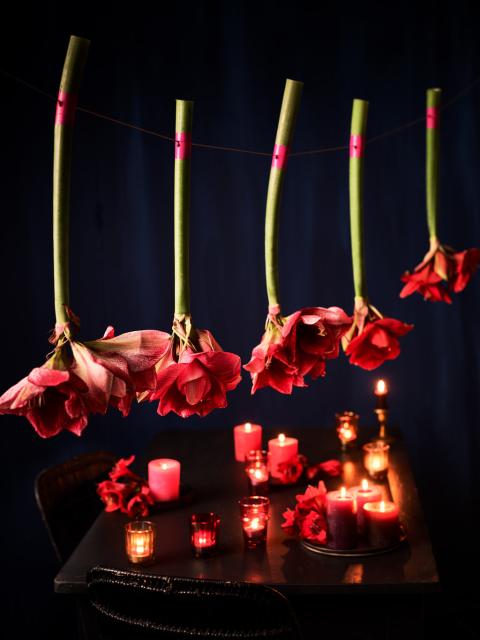 DIY: een amaryllisgarnering voor de gedekte tafel Mooiwatbloemendoen.nl