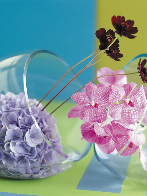 Creative Hydrangea flower displays on funnyhowflowersdothat.co.uk