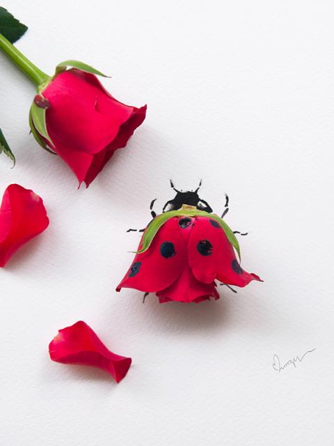 Floral art by Limzy on funnyhowflowersdothat.co.uk